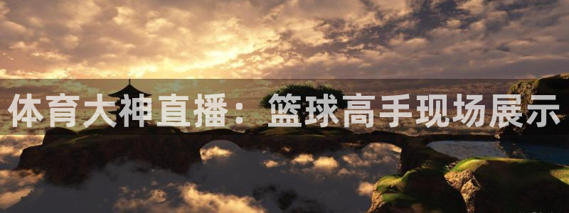 体育大神直播：篮球高手现场展示