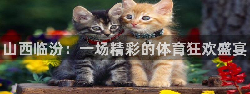 山西临汾：一场精彩的体育狂欢盛宴