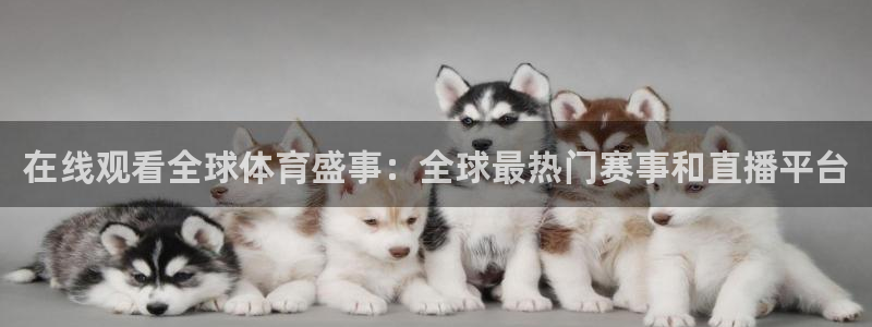 在线观看全球体育盛事：全球最热门赛事和直播平台