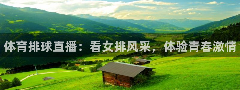 体育排球直播：看女排风采，体验青春激情
