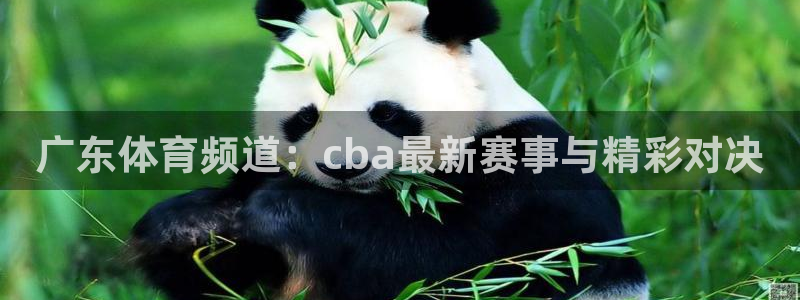 广东体育频道：cba最新赛事与精彩对决