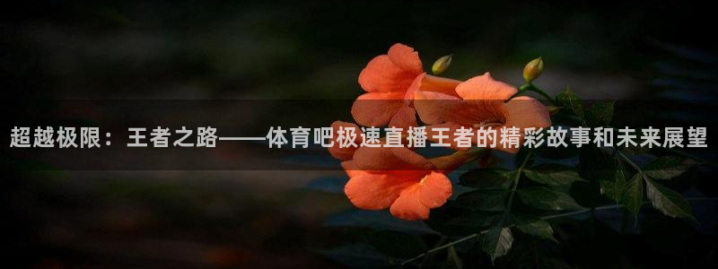 超越极限：王者之路——体育吧极速直播王者的精彩故事和未来展望
