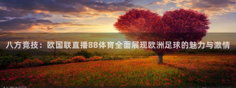 八方竞技：欧国联直播88体育全面展现欧洲足球的魅力与激情