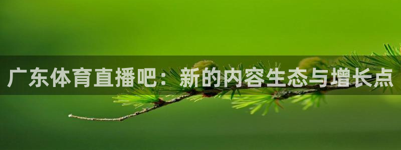 广东体育直播吧：新的内容生态与增长点