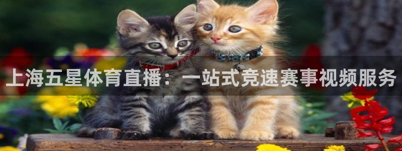 上海五星体育直播：一站式竞速赛事视频服务