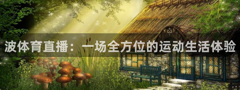 波体育直播：一场全方位的运动生活体验