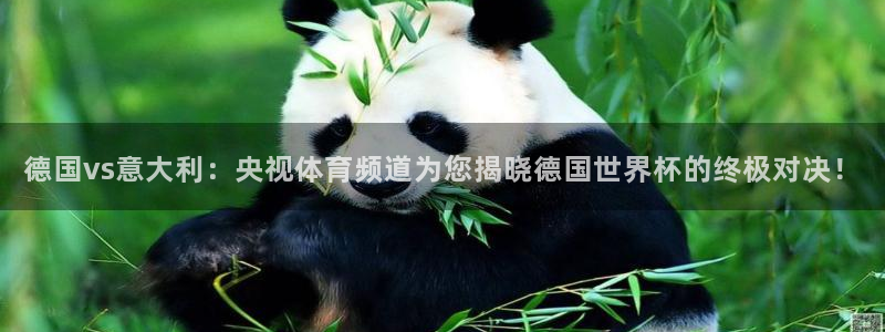 德国vs意大利：央视体育频道为您揭晓德国世界杯的终极对决！