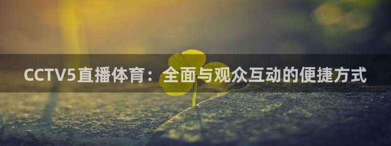 CCTV5直播体育：全面与观众互动的便捷方式