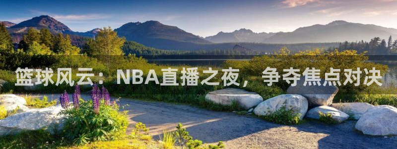 篮球风云：NBA直播之夜，争夺焦点对决