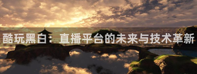 酷玩黑白：直播平台的未来与技术革新