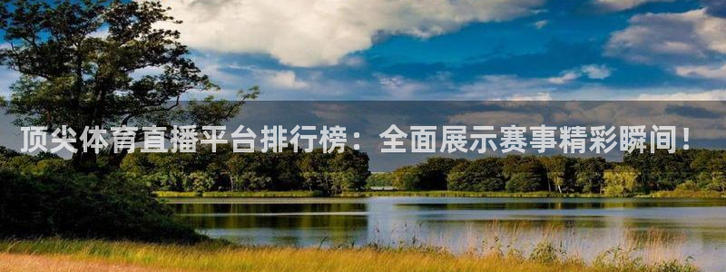 顶尖体育直播平台排行榜：全面展示赛事精彩瞬间！