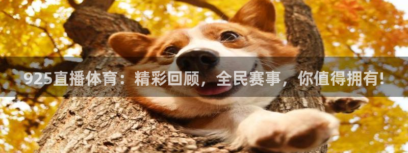 925直播体育：精彩回顾，全民赛事，你值得拥有!